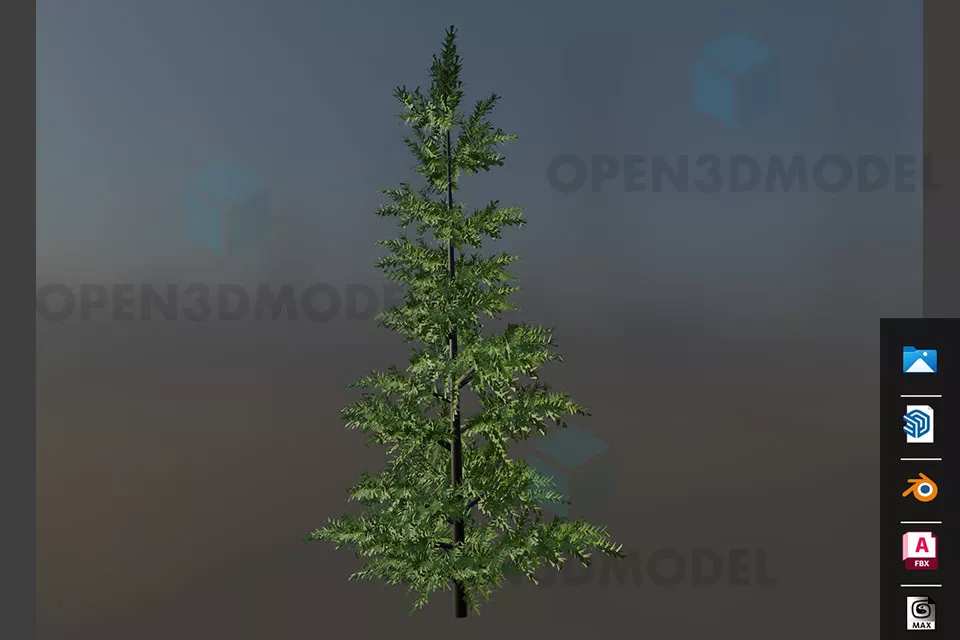Low Poly Garden Tree 3d model