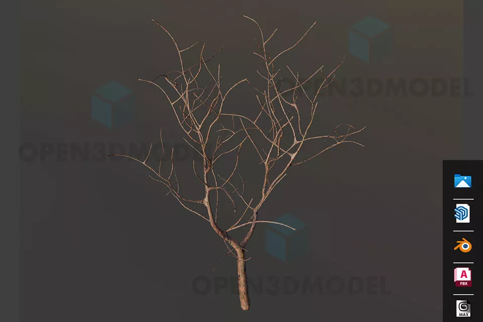 Branch Tree With No Leaves 3d model Branch Tree With No Leaves 3d model