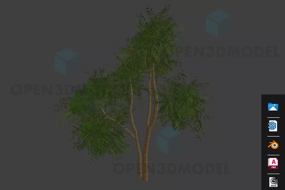 Willow Tree 3d model Willow Tree 3d model