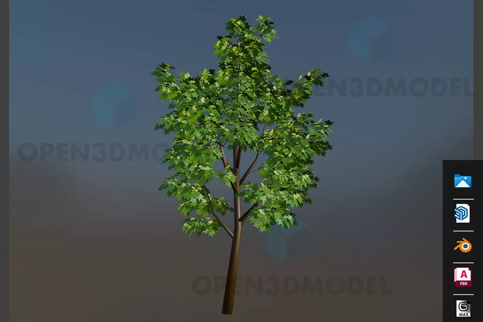 Banana Tree, Tropical Banana Plant 3d model
