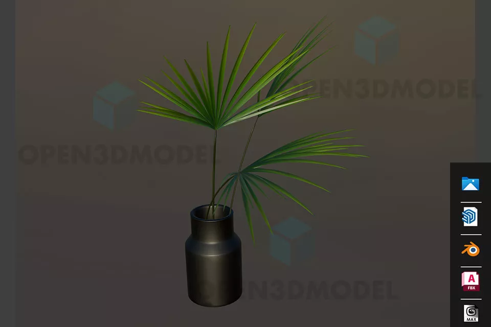 Palm Tree, Dwarf Plam 3d model