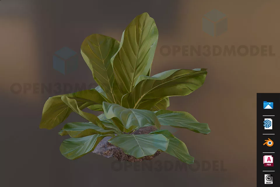 Small Plant Leaf On Solid Land 3d model Small Plant Leaf On Solid Land 3d model