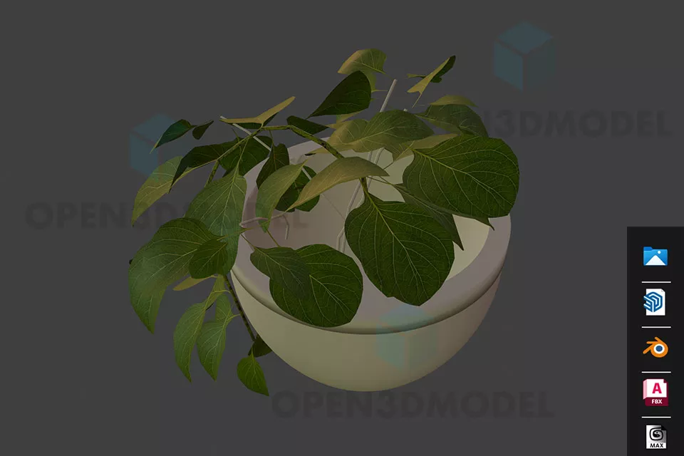 Indoor Office Potted Leaf Plant 3d model