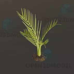 Palm Leaf Plant On Ground 3d model