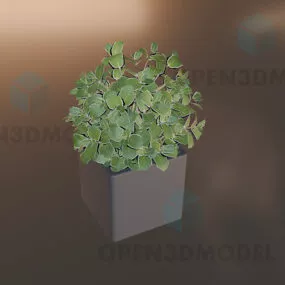 Potted Plant In Concrete Pot 3d model