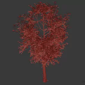 Garden Tree Medium Size 3d model