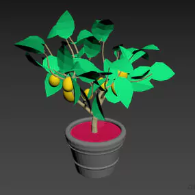 Lemon Tree Potted Plant 3d model