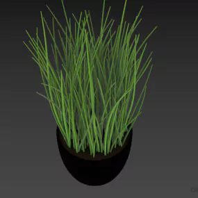 Ceramic Potted Grass Plant 3d model