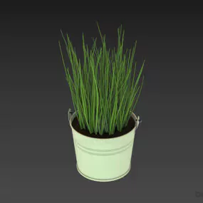 Grass In Bucket 3d model