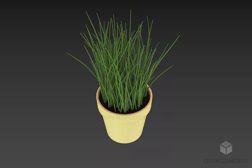 Small Garden Grass Bush 3d model