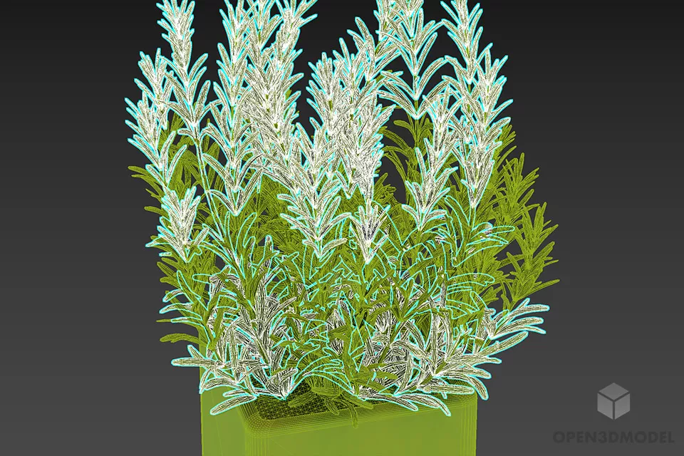 Rectangle Pot With Leaf Plant 3d model 2