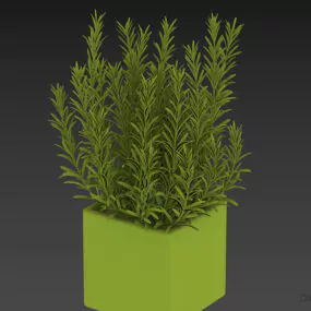 Rectangle Pot With Leaf Plant 3d model