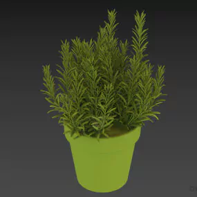 Small Terracotta Plant Pot 3d model