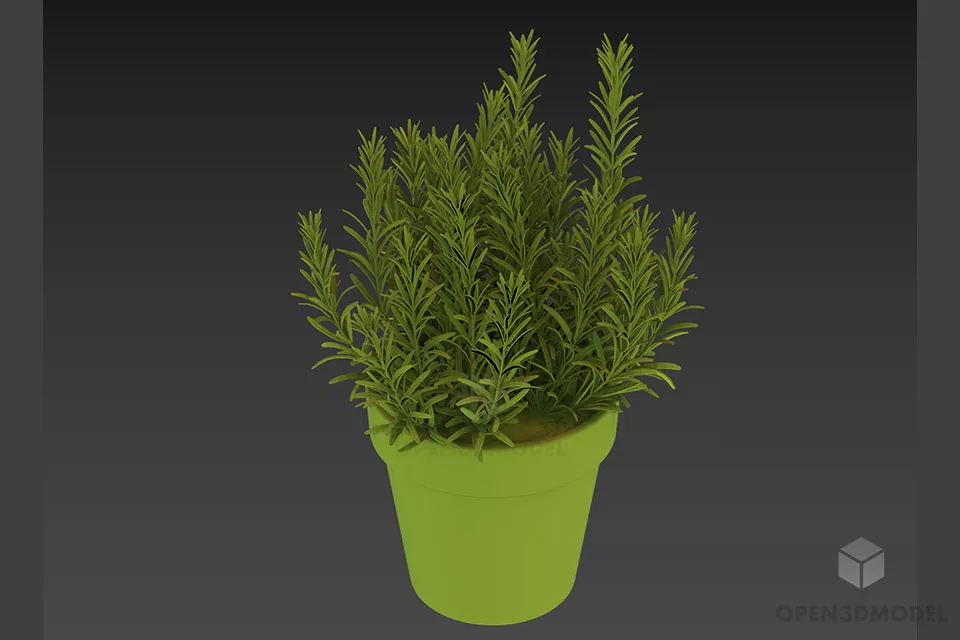 Office Leaf Plant For Decoration 3d model
