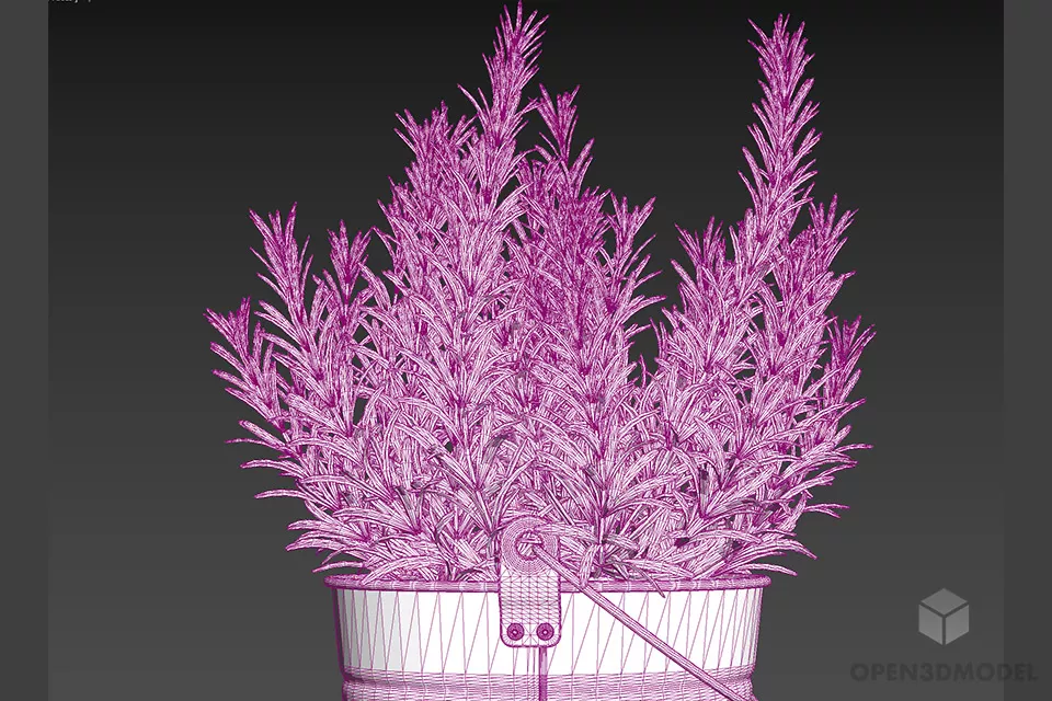 Plant In Bucket 3d model 2