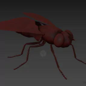 Fly Bee Animal 3d model