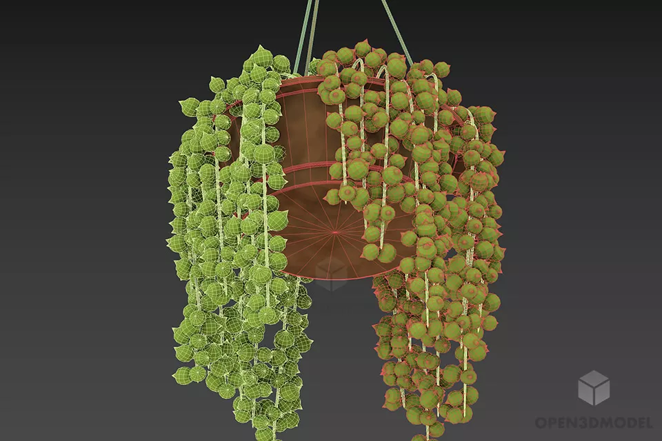 Hanging Plant Ivy 3d model 2