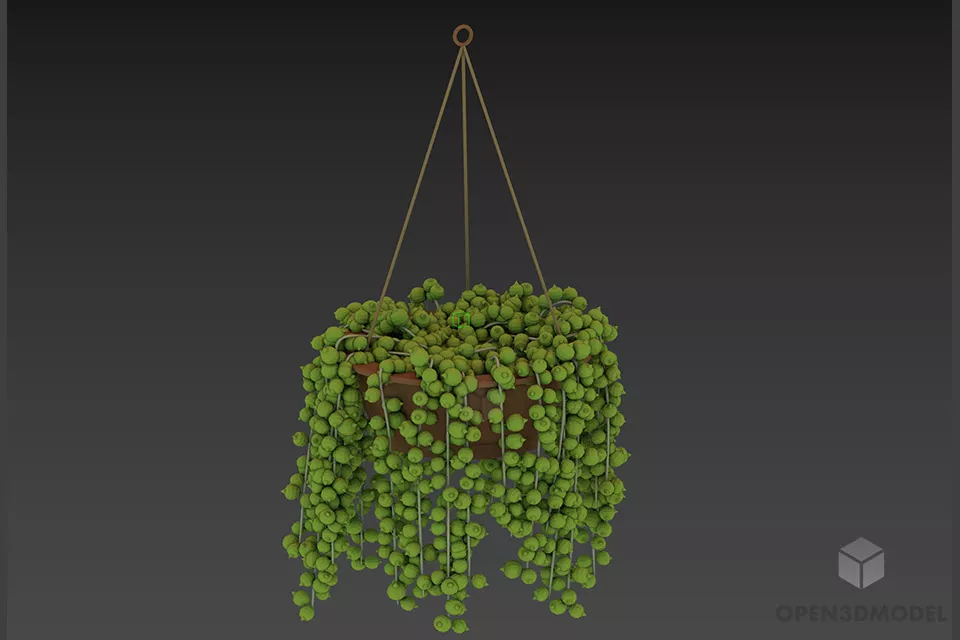 Plant Pot With Small Plant 3d model