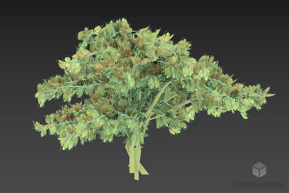 Bush With Green Leaves 3d model 2
