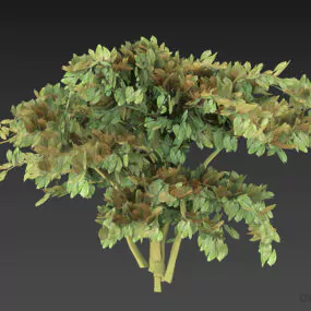 Bush With Green Leaves 3d model