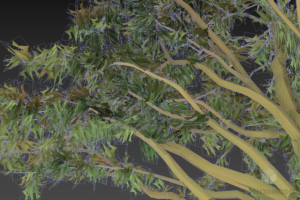 Branches Bushes 3d model 2