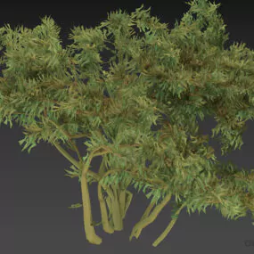Branches Bushes 3d model