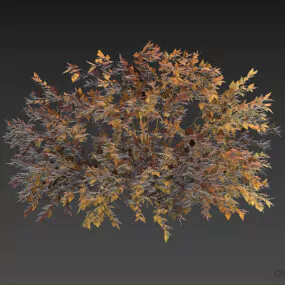 Autumn Leaf Bushes 3d model