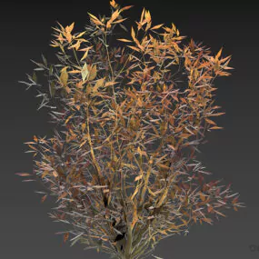 Medium Bush, Autumn Leafs 3d model