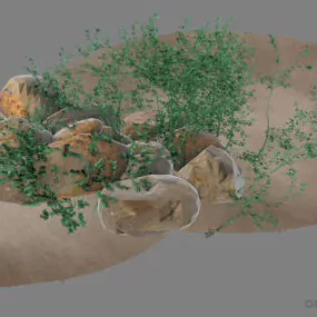 Decoration Bush With Stones 3d model
