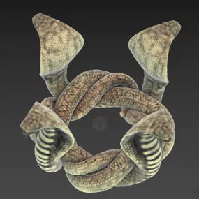 Cobra Snake Group 3d model