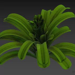 Office Leaf Plant For Decoration 3d model