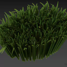 Round Grass Area 3d model