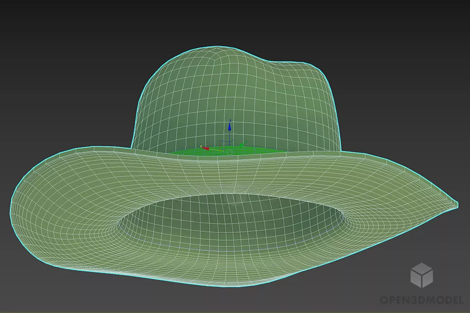 Cowboy Hat, Old Hat 3d model 2