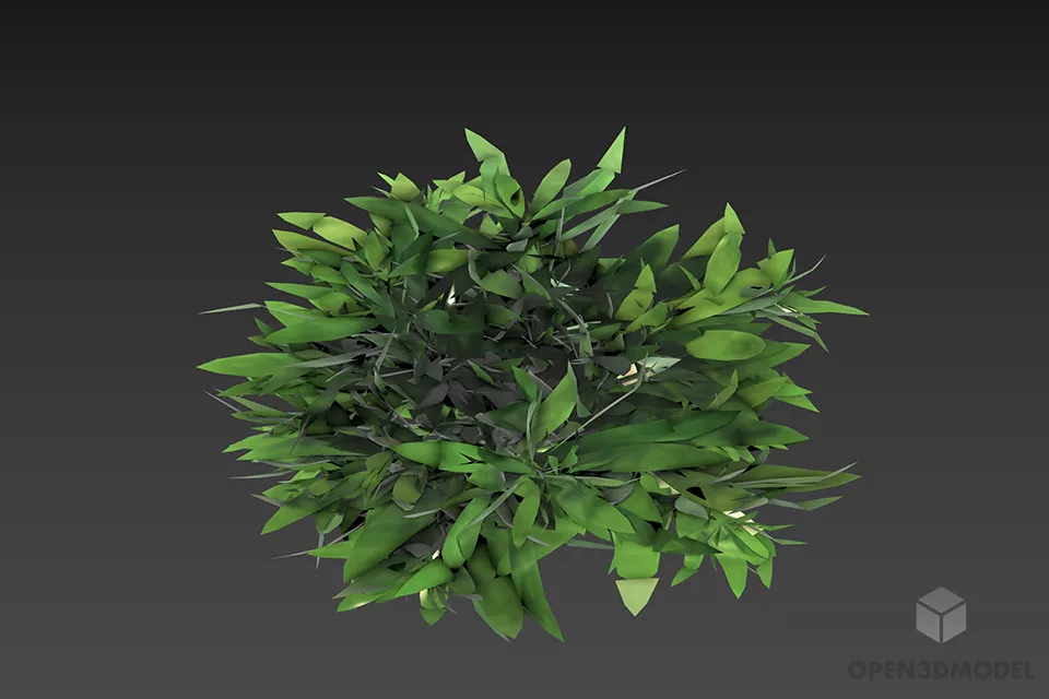Dry Bush Haloxylon Shrubs 3d model