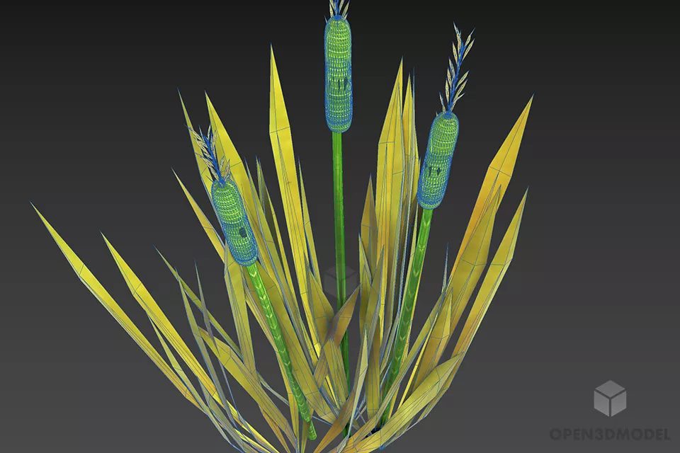Small Wheat Plant Bush 3d model 2