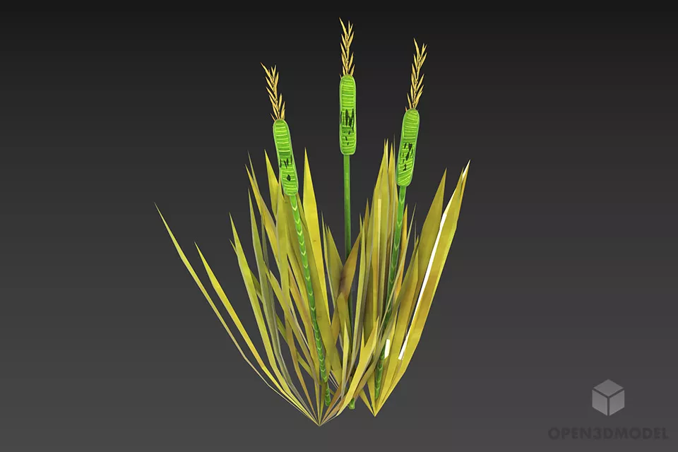Bushes Haloxylon Dry Branches 3d model