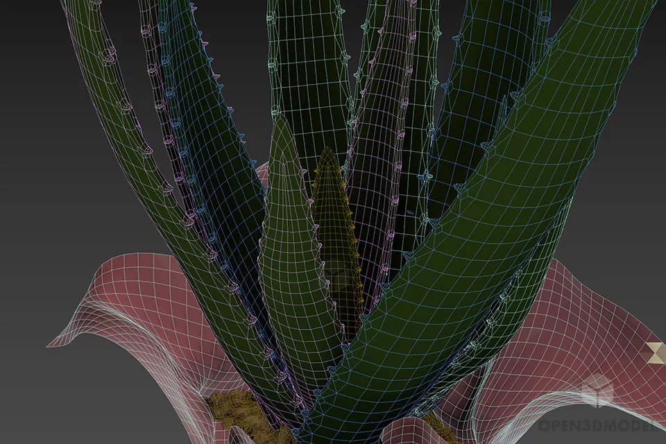 Plant Aloes In Plastic Pot 3d model 2