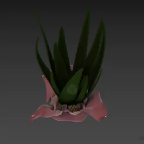 Plant Aloes In Plastic Pot 3d model