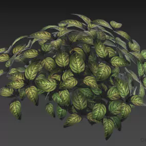 Plant Bushes, Sphere Bush 3d model