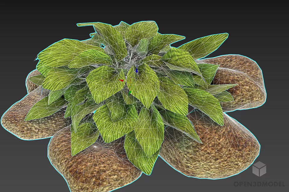 Garden Plant Bush With Grave Stone 3d model 2