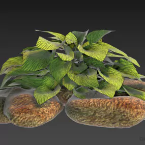 Garden Plant Bush With Grave Stone 3d model