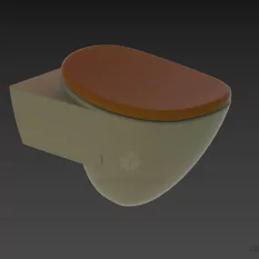 Cantilever Toilet Lavatory With Wooden Cap 3d model