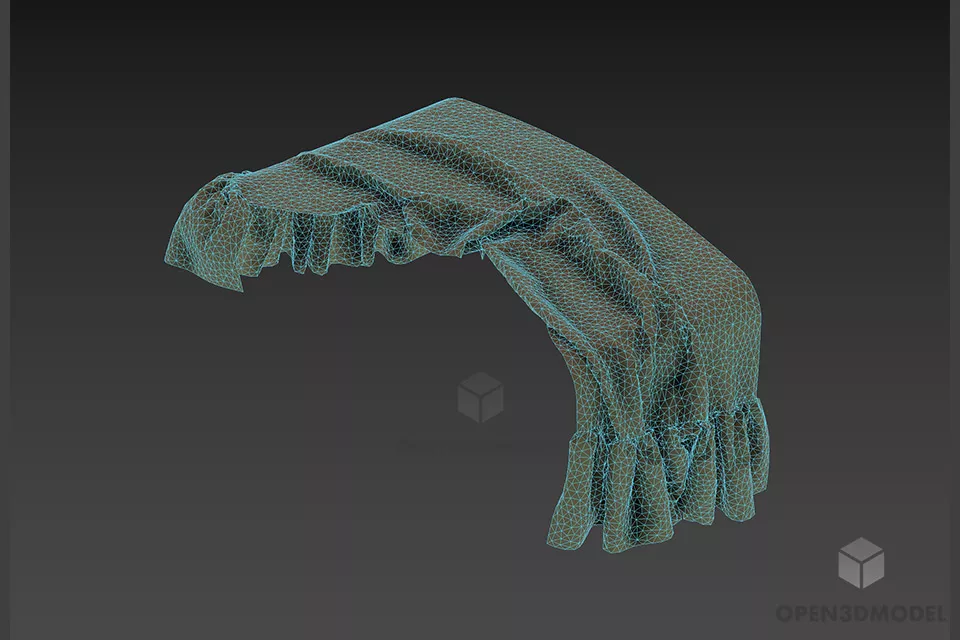 Wrinkled Veil 3d model 2