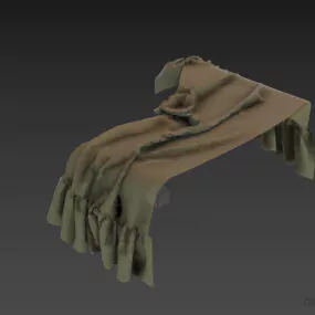 Wrinkled Veil 3d model