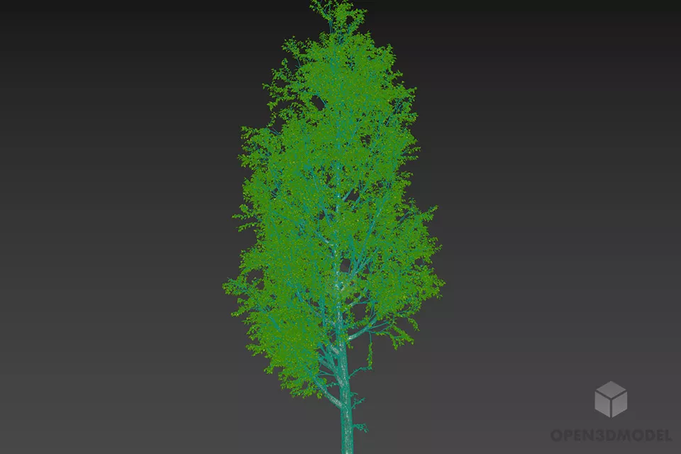 Leaf Tree 3d model 2
