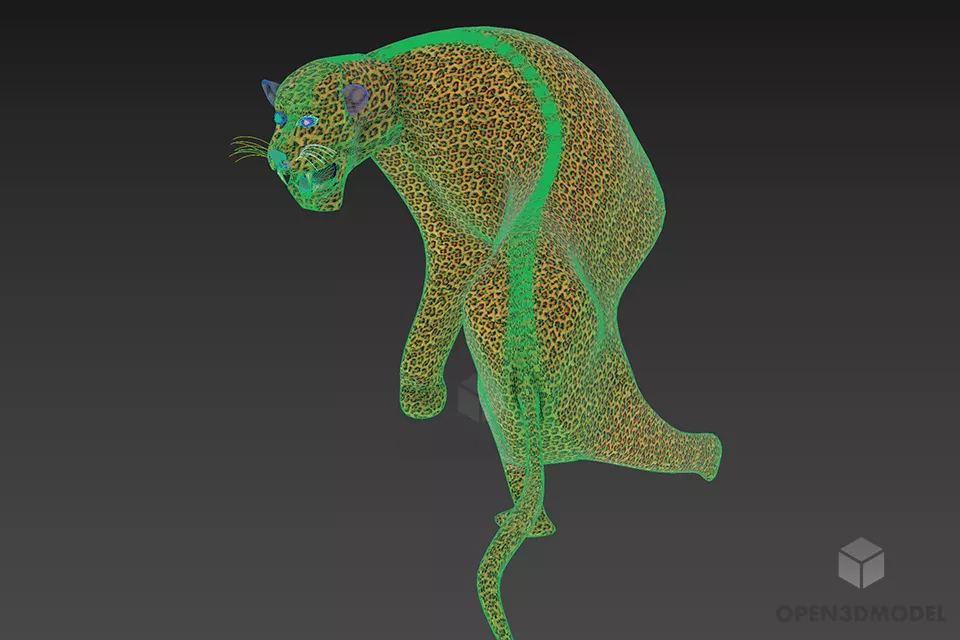Tiger Angry Pose 3d model 2