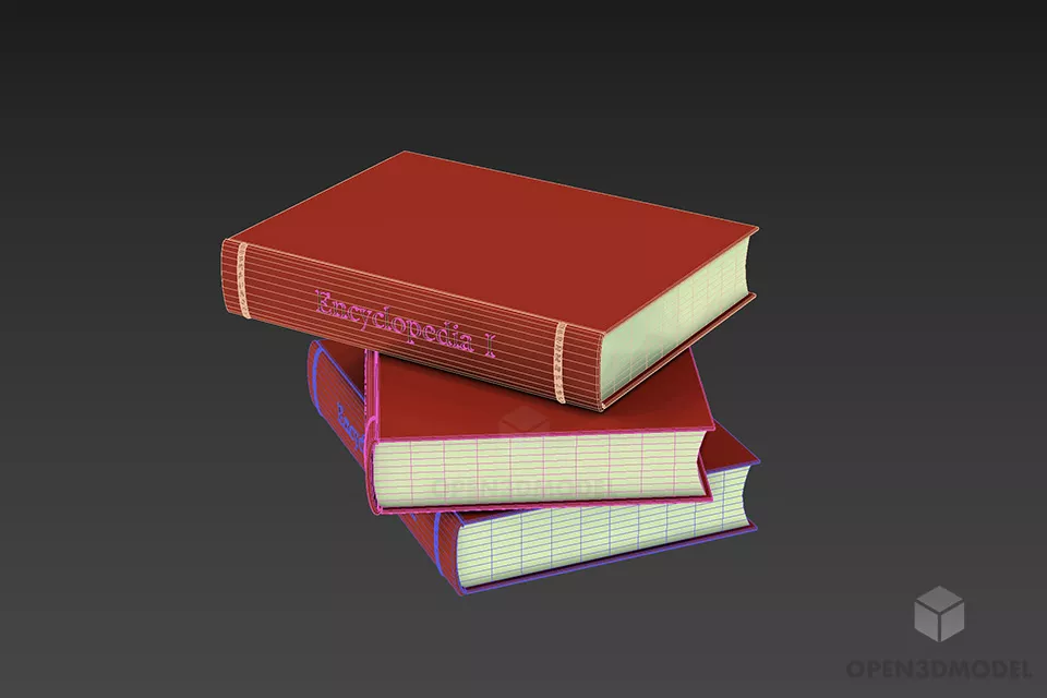 Books With Leather Covered 3d model 2