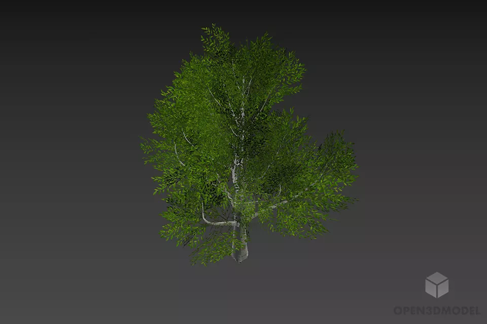 Leaf Tree With Big Branches 3d model 2