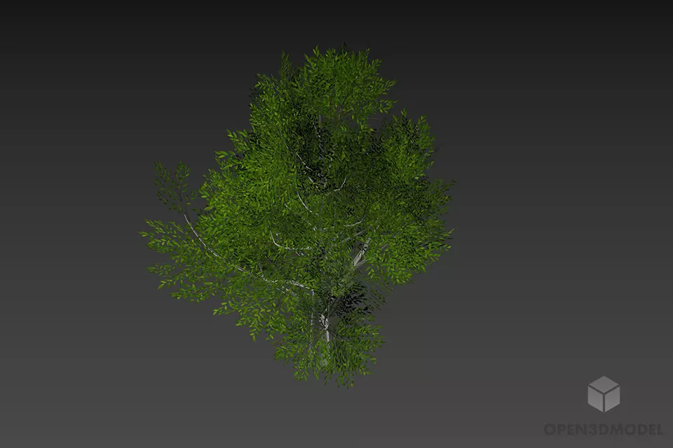 Leaf Tree With Big Branches 3d model 3