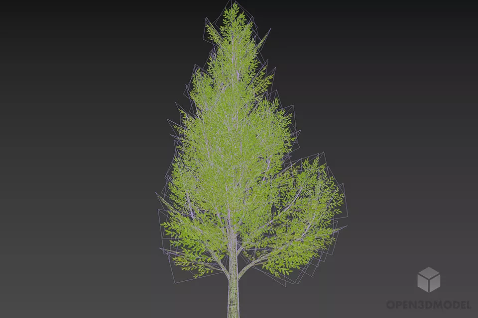 Realistic Broadleaf Tree 3d model 2